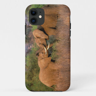 Afrika, Kenia, Samburu. Olifant uitdaging Case-Mate iPhone Case