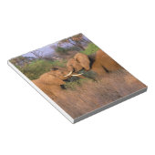 Afrika, Kenia, Samburu. Olifant uitdaging Notitieblok (Schuin)
