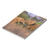 Afrika, Kenia, Samburu. Olifant uitdaging Notitieblok (Linkerzijde)