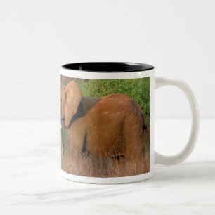 Afrika, Kenia, Samburu. Olifant uitdaging Tweekleurige Koffiemok