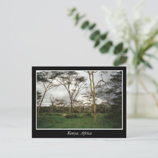 Afrika Kenia wild land Briefkaart (Staand voorkant)