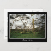 Afrika Kenia wild land Briefkaart (Voorkant / Achterkant)