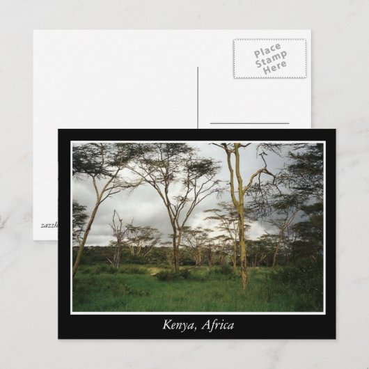 Afrika Kenia wild land Briefkaart (Voorkant / Achterkant)