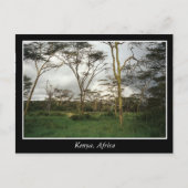 Afrika Kenia wild land Briefkaart (Voorkant)