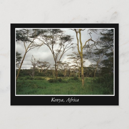 Afrika Kenia wild land Briefkaart (Voorkant)