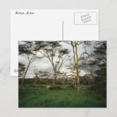 Afrika Kenia wild land Briefkaart (Voorkant / Achterkant)