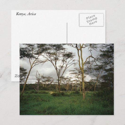 Afrika Kenia wild land Briefkaart (Voorkant / Achterkant)