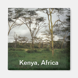 Afrika Kenia wild land Magneet