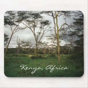 Afrika Kenia wild land Muismat