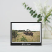 Afrika Kenia wilde dieren Briefkaart (Staand voorkant)