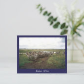 Afrika Kenia wilde dieren Briefkaart (Staand voorkant)
