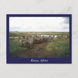 Afrika Kenia wilde dieren Briefkaart