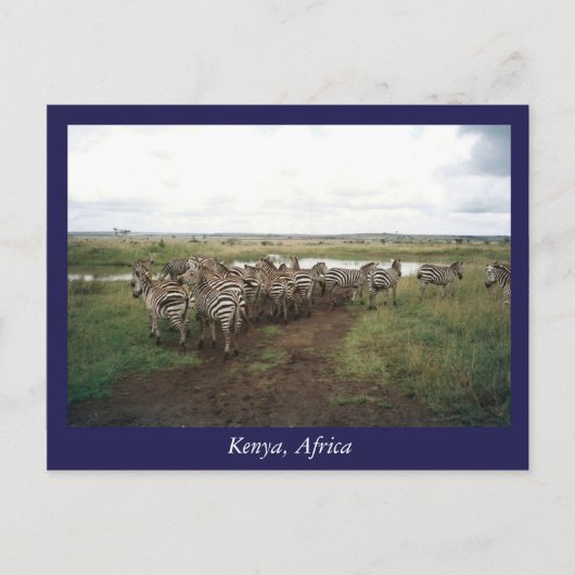 Afrika Kenia wilde dieren Briefkaart (Voorkant)