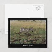Afrika Kenia wilde dieren Briefkaart (Voorkant / Achterkant)