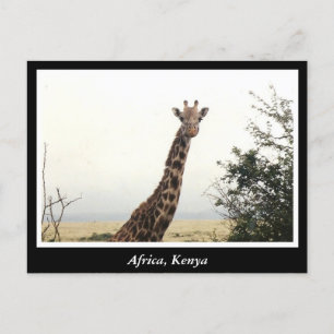 Afrika Kenia wilde dieren Briefkaart