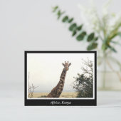Afrika Kenia wilde dieren Briefkaart (Staand voorkant)