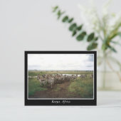 Afrika Kenia wilde dieren Briefkaart (Staand voorkant)