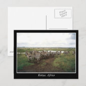 Afrika Kenia wilde dieren Briefkaart (Voorkant / Achterkant)