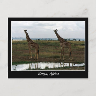 Afrika Kenia wilde dieren Briefkaart
