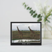Afrika Kenia wilde dieren Briefkaart (Staand voorkant)