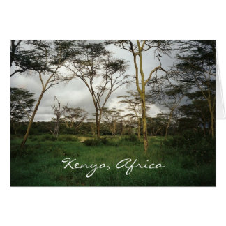 Afrika Kenia wildernis