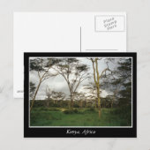 Afrika Kenia wildernis Briefkaart (Voorkant / Achterkant)