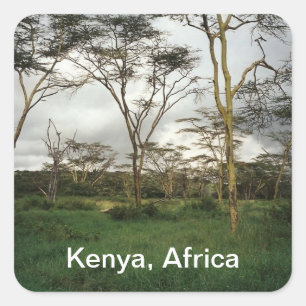 Afrika Kenia wildernis Vierkante Sticker