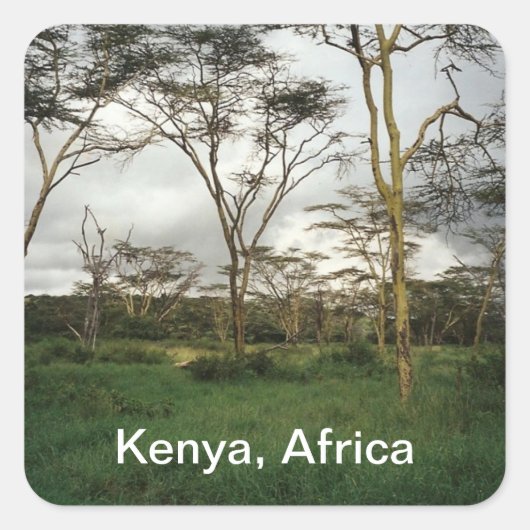 Afrika Kenia wildernis Vierkante Sticker (Voorkant)