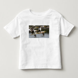 Afrika. Kenia. Witte pelikanen in vlucht bij het m Kinder Shirts