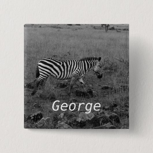 Afrika Kenia Zebra in het wild Vierkante Button 5,1 Cm (Voorkant)
