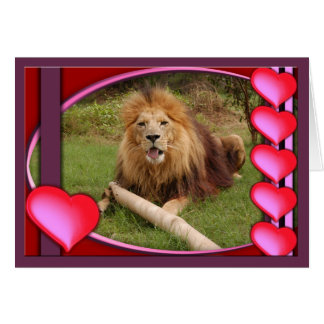 afrika-lion-00005-65x45