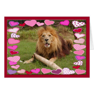 afrika-lion-00030-65x45