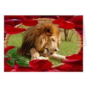 afrika-lion-00069-65x45