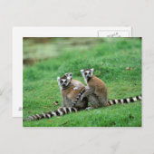 Afrika, Madagaskar, Antananarivo, Tsimbazaza Briefkaart (Voorkant / Achterkant)