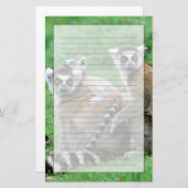 Afrika, Madagaskar, Antananarivo, Tsimbazaza Briefpapier (Voorkant / Achterkant)