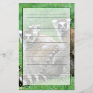 Afrika, Madagaskar, Antananarivo, Tsimbazaza Briefpapier