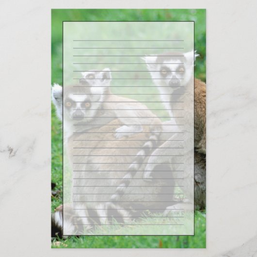 Afrika, Madagaskar, Antananarivo, Tsimbazaza Briefpapier (Voorkant)