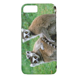 Afrika, Madagaskar, Antananarivo, Tsimbazaza Case-Mate iPhone Case