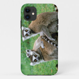 Afrika, Madagaskar, Antananarivo, Tsimbazaza Case-Mate iPhone Case