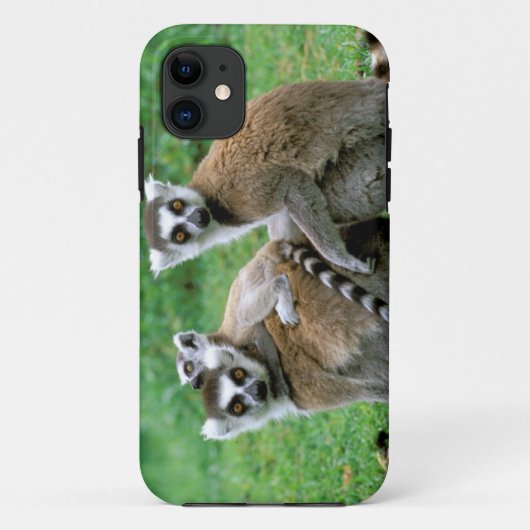 Afrika, Madagaskar, Antananarivo, Tsimbazaza Case-Mate iPhone Case (Achterkant)