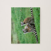 Afrika, Madagaskar, Antananarivo, Tsimbazaza Legpuzzel (Verticaal)