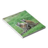 Afrika, Madagaskar, Antananarivo, Tsimbazaza Notitieblok (Schuin)