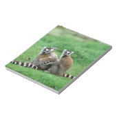 Afrika, Madagaskar, Antananarivo, Tsimbazaza Notitieblok (Linkerzijde)