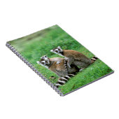 Afrika, Madagaskar, Antananarivo, Tsimbazaza Notitieboek (Rechterzijde)