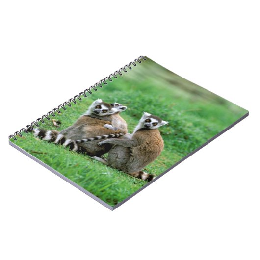 Afrika, Madagaskar, Antananarivo, Tsimbazaza Notitieboek (Linkerzijde)