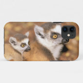 Afrika, Madagaskar, Berenty Private Reserve. Case-Mate iPhone Case (Achterkant (horizontaal))