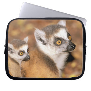 Afrika, Madagaskar, Berenty Private Reserve. Laptop Sleeve