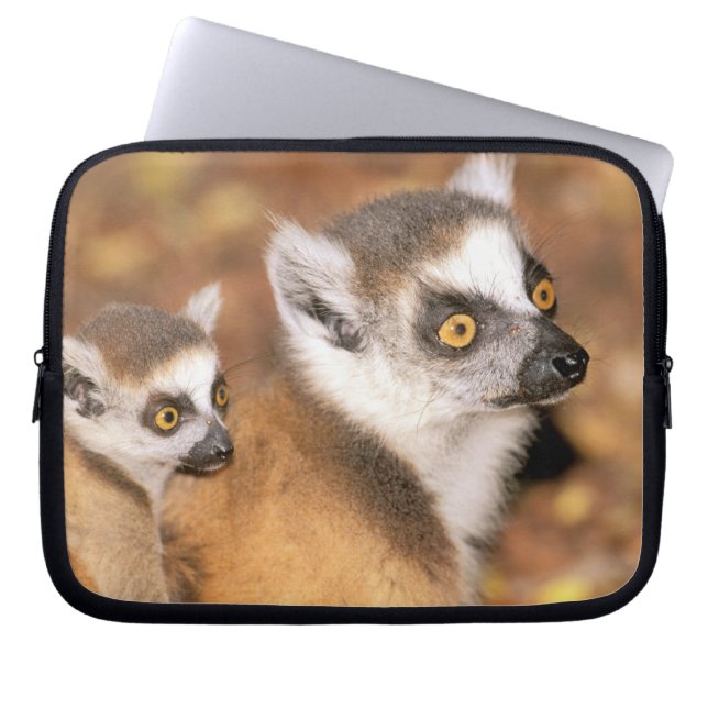 Afrika, Madagaskar, Berenty Private Reserve. Laptop Sleeve (Voorkant)