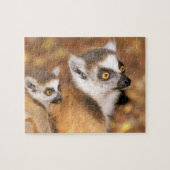 Afrika, Madagaskar, Berenty Private Reserve. Legpuzzel (Horizontaal)