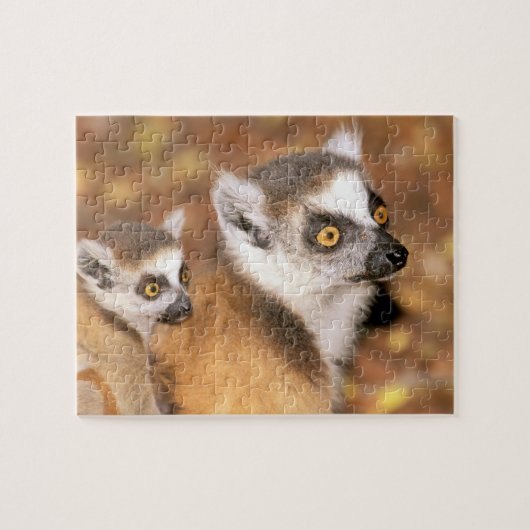 Afrika, Madagaskar, Berenty Private Reserve. Legpuzzel (Horizontaal)